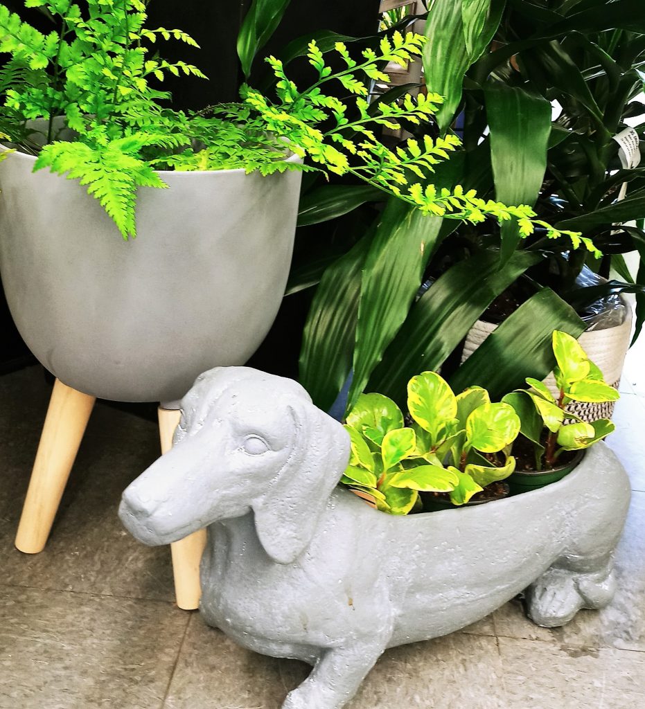 Decorative Stone Planters, Edmonton-Barrhead, The Flower Shoppe