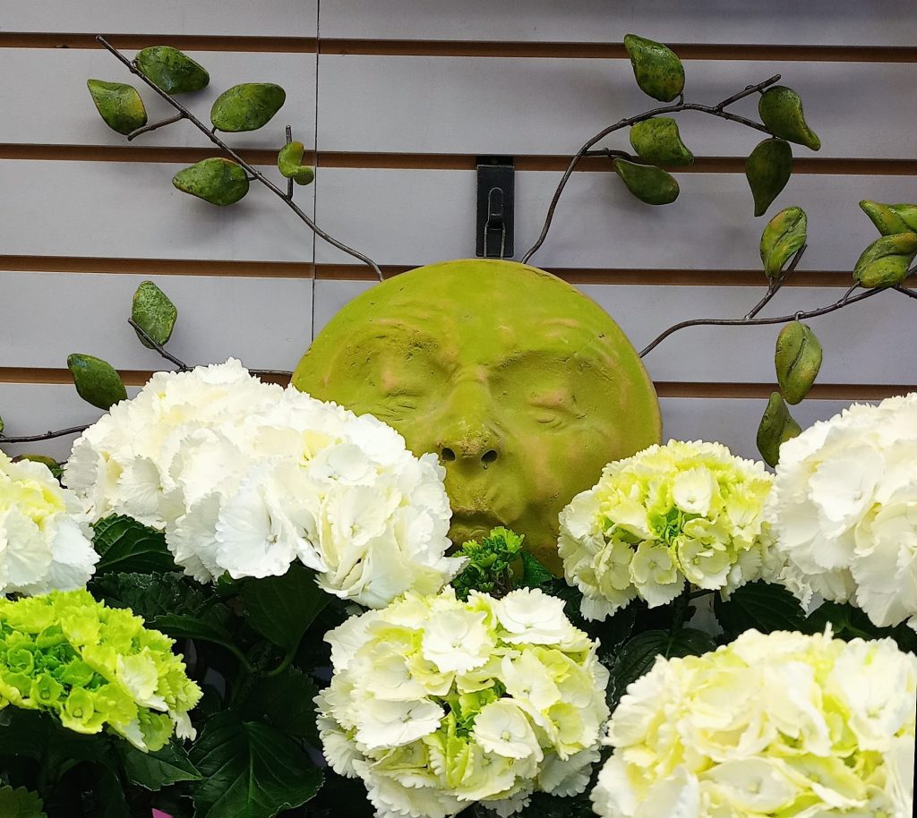 Garden Decor, Edmonton-Barrhead, The Flower Shoppe