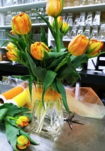 Yellow, Tangerine, Tulips, Barrhead AB