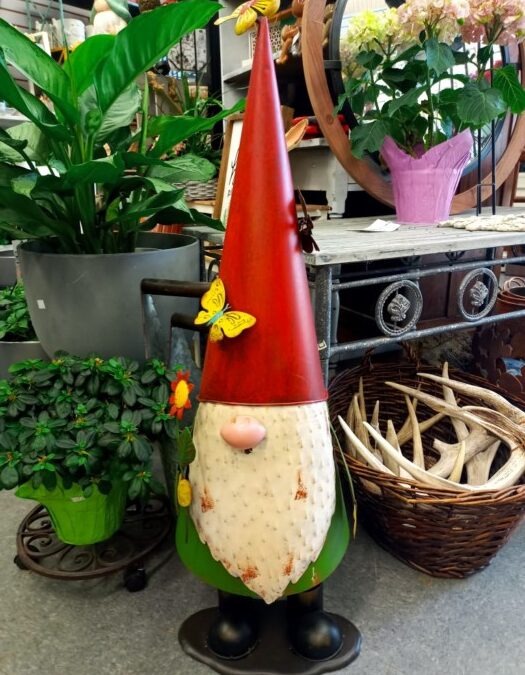 Garden Gnomes Need A Home