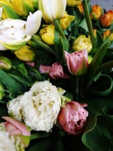 Tulips - Local, flower of the year, 2022