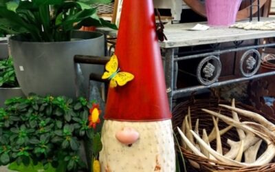 Garden Gnomes Need A Home