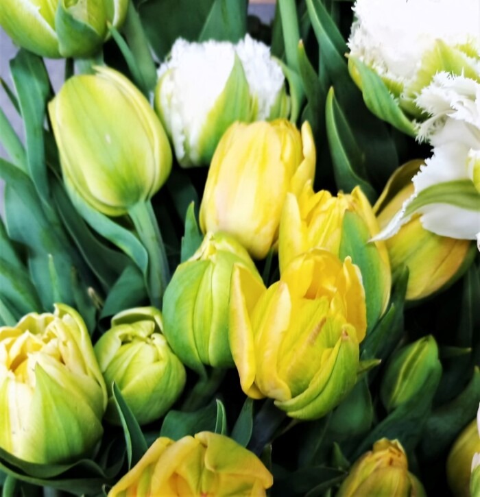 FLOWERS The Flower Shoppe Best Flower Shop Barrhead